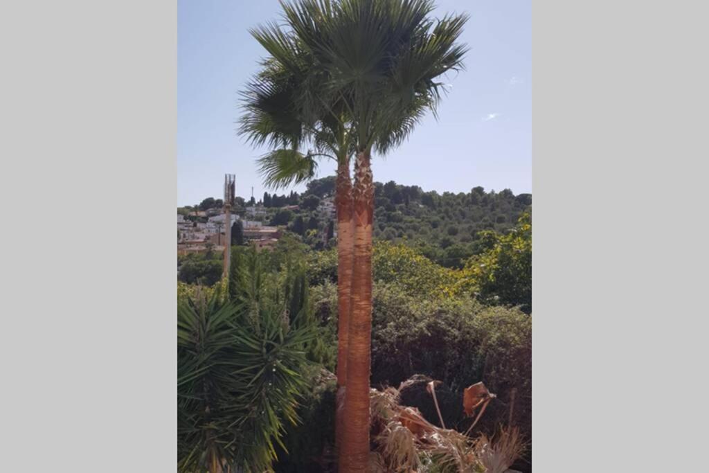 Casa Rustica Lejlighed Torremolinos Eksteriør billede