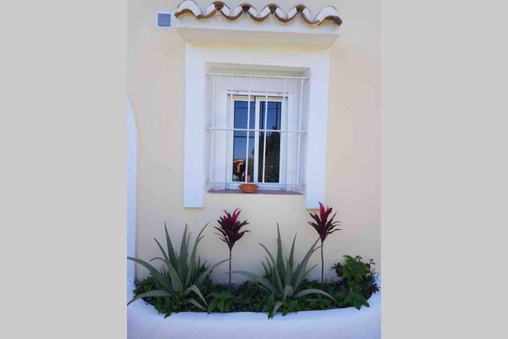 Casa Rustica Lejlighed Torremolinos Eksteriør billede